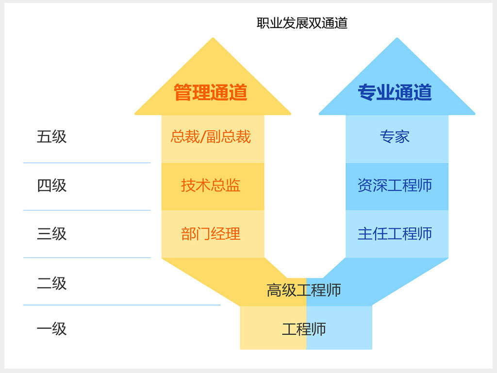 职业发展双通道.jpg